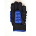 Roku indoor glove blue